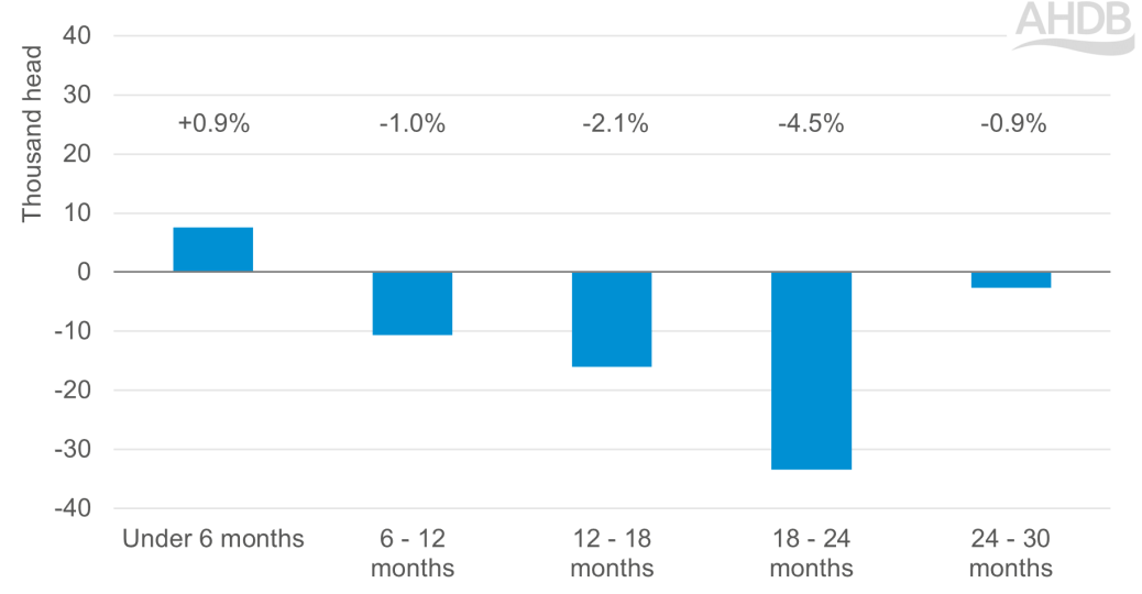 Chart showing annual change in GB cattle population by age group